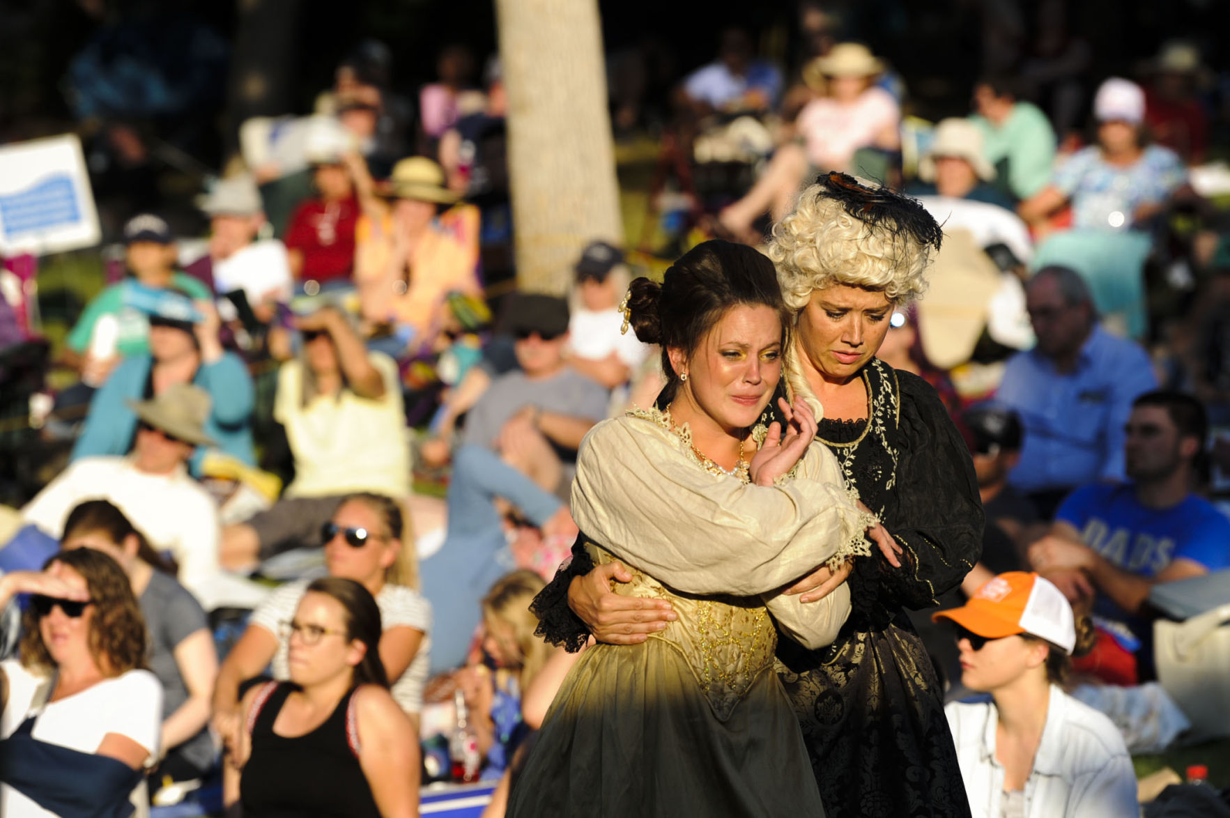 Shakespeare in the Parks